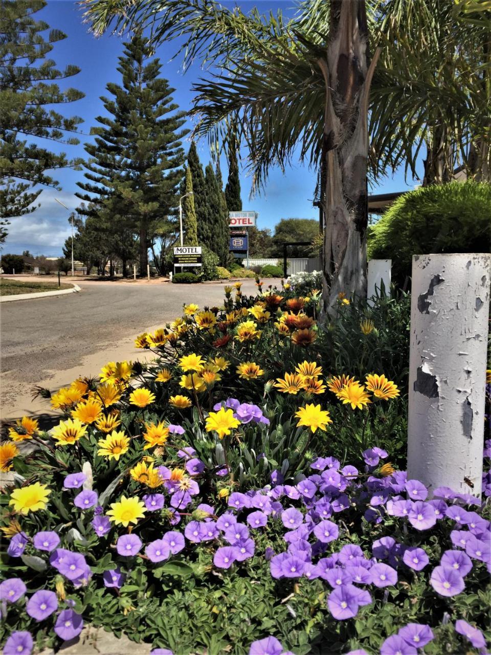 Ceduna Motor Inn Экстерьер фото